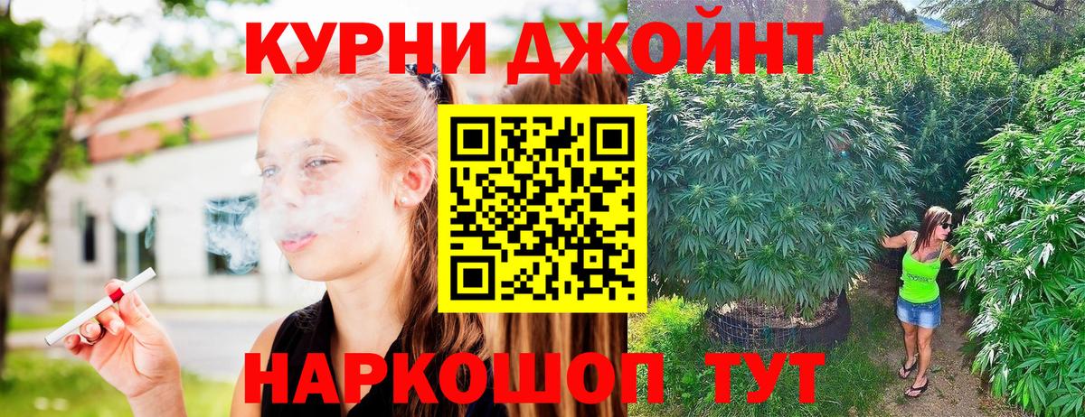 Канабис гибрид Унеча